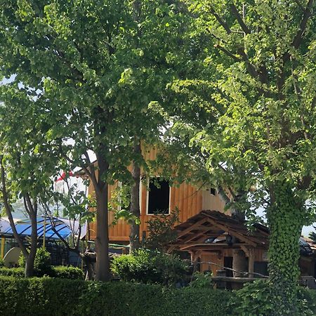 Bujtina Gashi Guest House Kukes Экстерьер фото